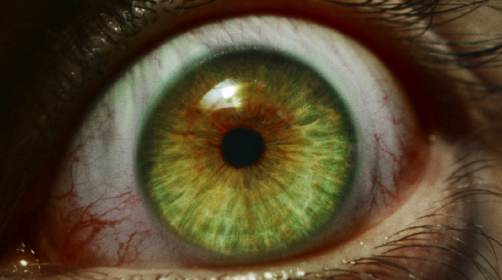 a close up of a person's green eye