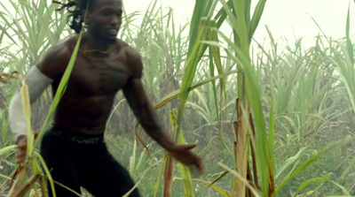 a man standing in a field of tall grass