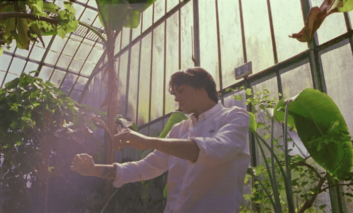 a man in a greenhouse tending to a plant