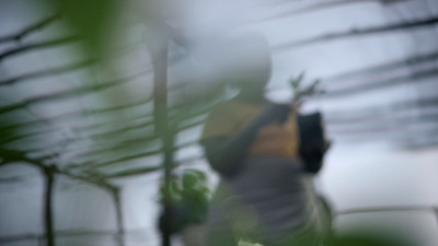 a blurry photo of a person holding an umbrella