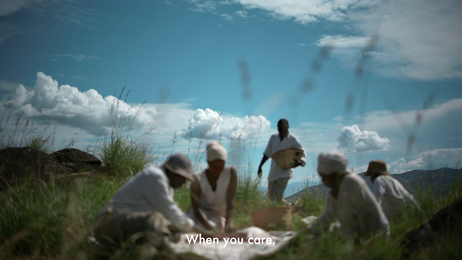 a group of people sitting on top of a lush green field