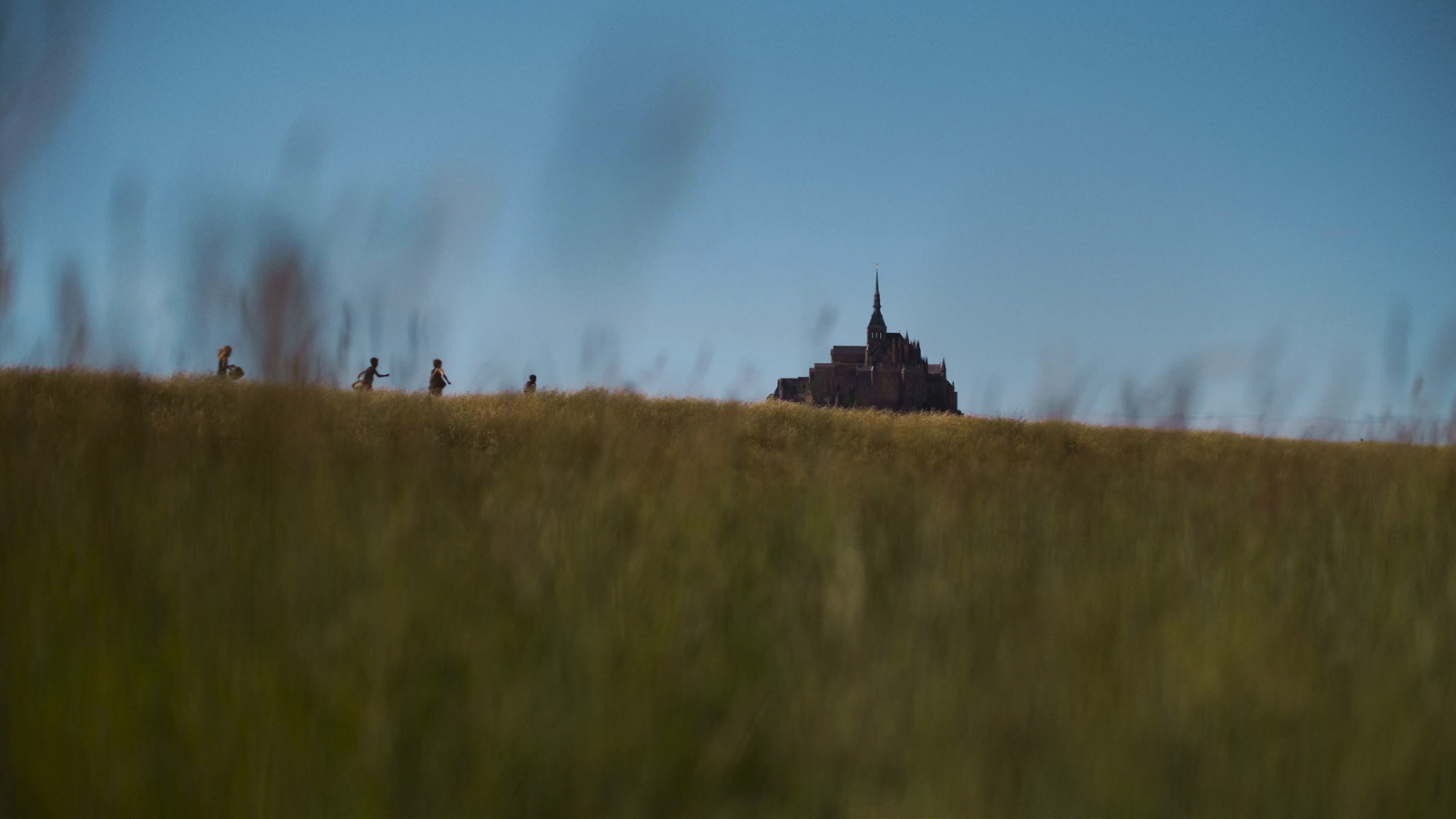 a group of people standing on top of a grass covered hill