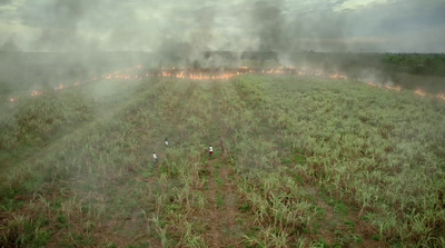 a field that has a lot of smoke coming out of it