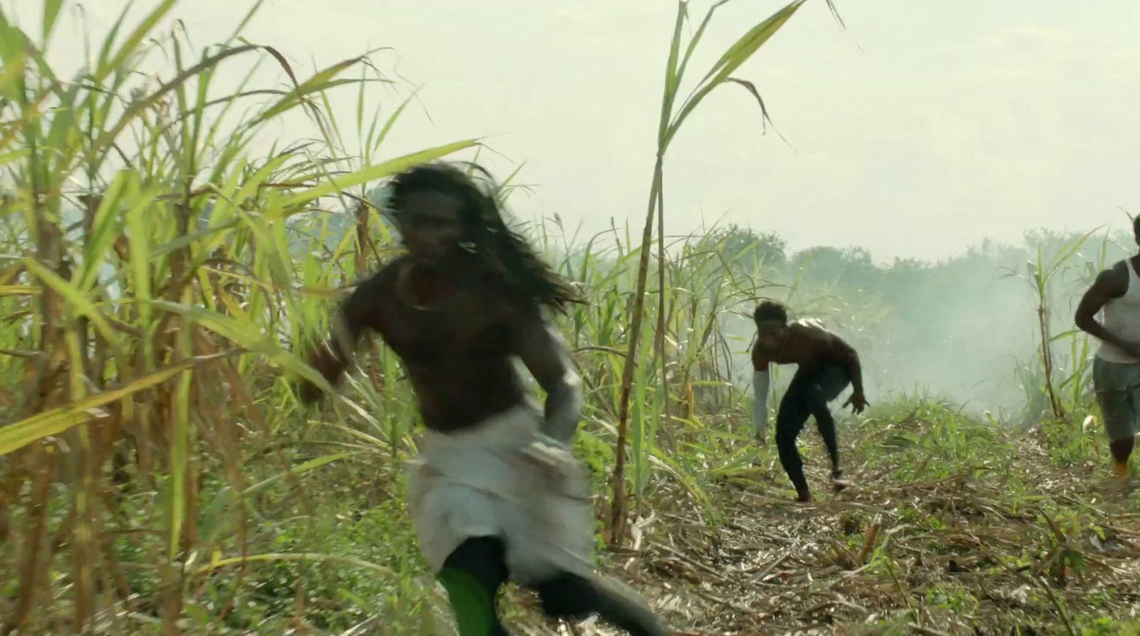 a group of men running through a lush green field