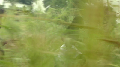 a blurry photo of a person walking through a field