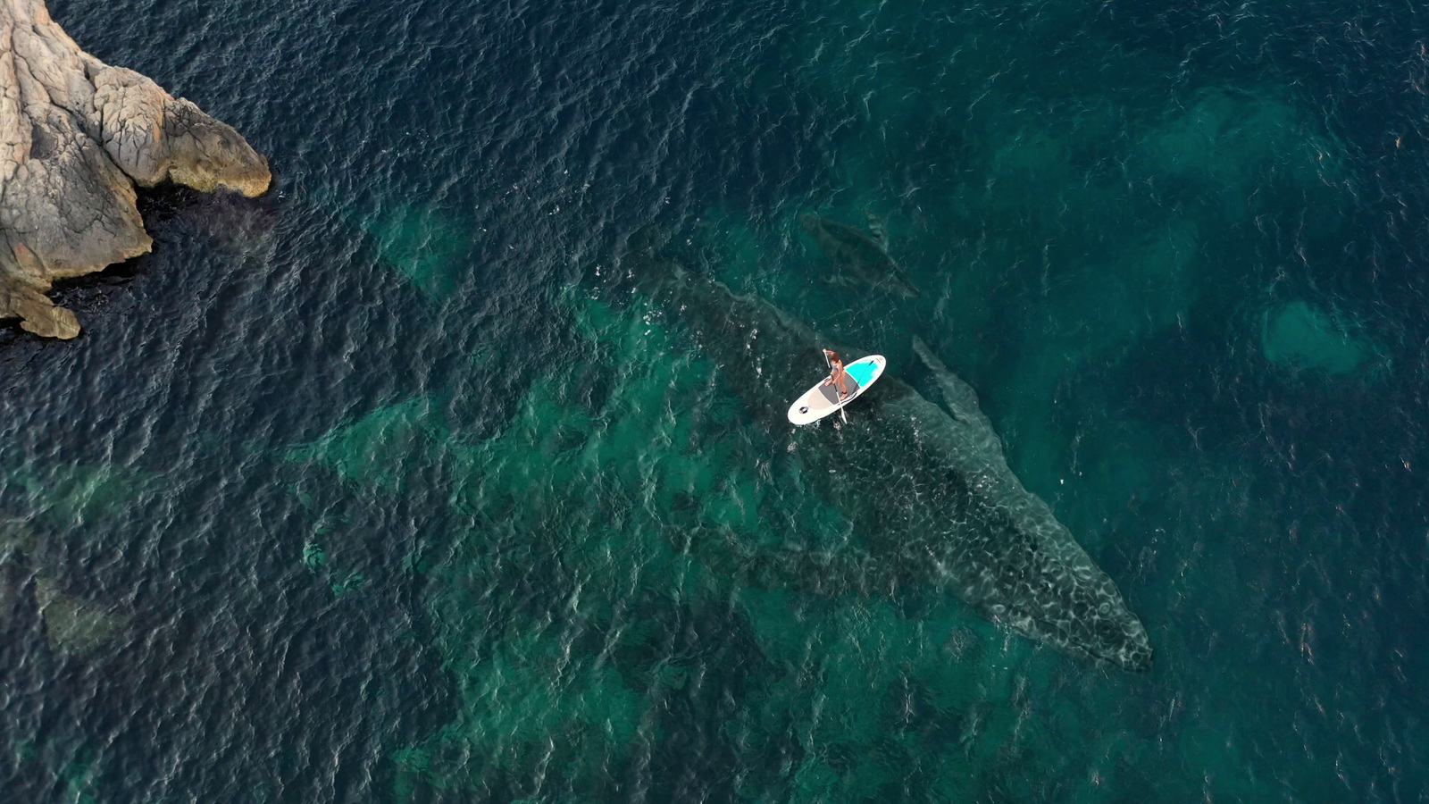 an aerial view of a person on a surfboard in the ocean