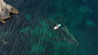 an aerial view of a person on a surfboard in the ocean