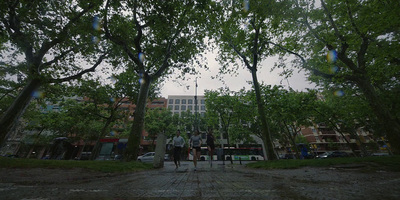 a group of people walking down a street next to trees
