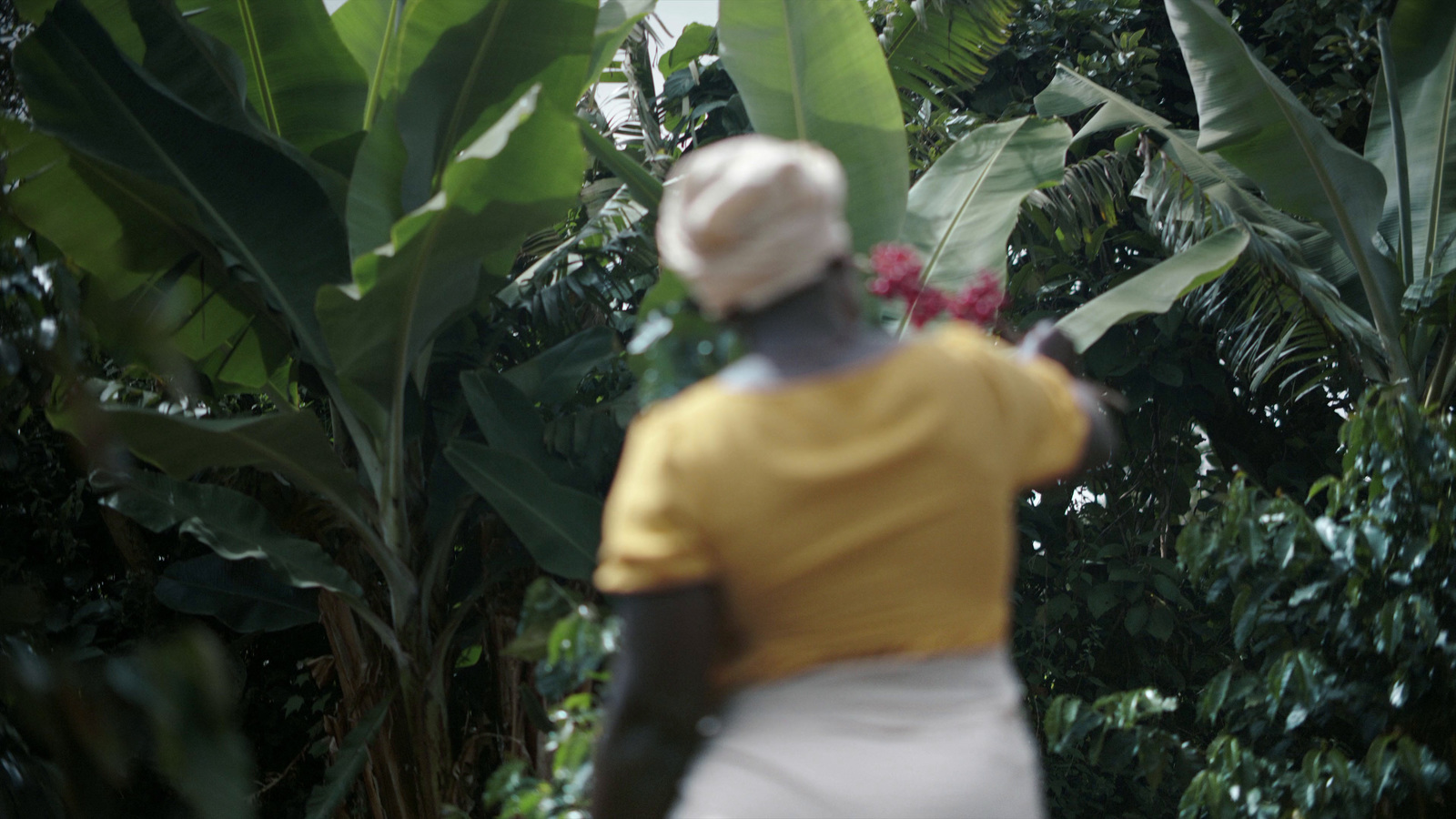 a woman walking through a lush green forest