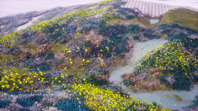 a hill covered in lots of flowers next to a body of water