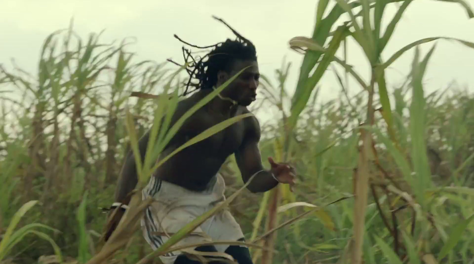 a man running through a field of tall grass