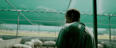 a man standing in front of a herd of sheep