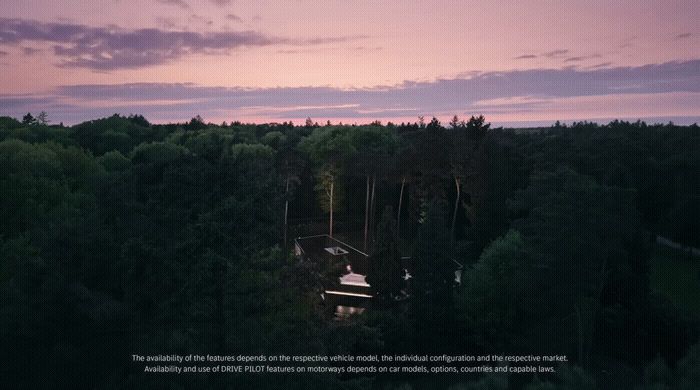 an aerial view of a forest at dusk