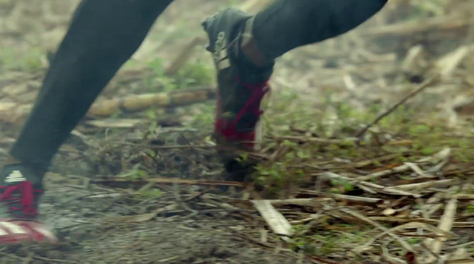 a close up of a person's feet walking in the woods