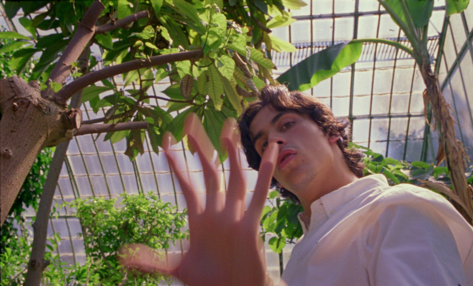 a man standing in front of a tree holding his hand up