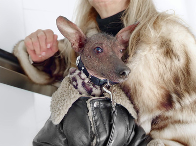 a woman holding a hairless dog in her arms