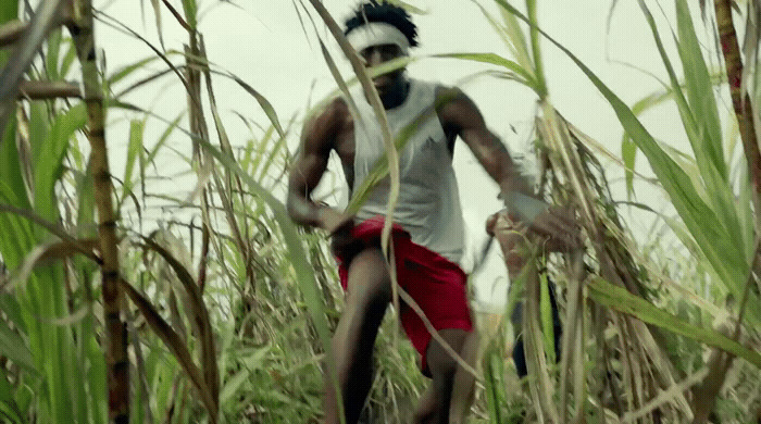 a man walking through a field of tall grass