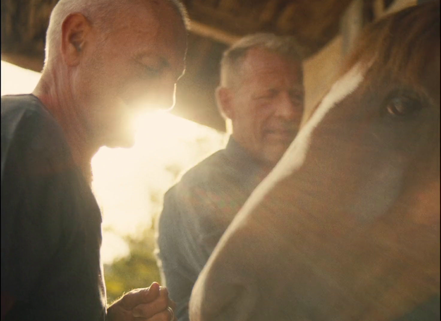 a couple of men standing next to a brown horse