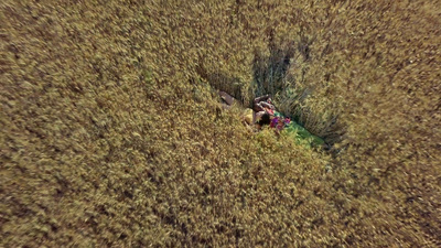 a group of people in a field of tall grass