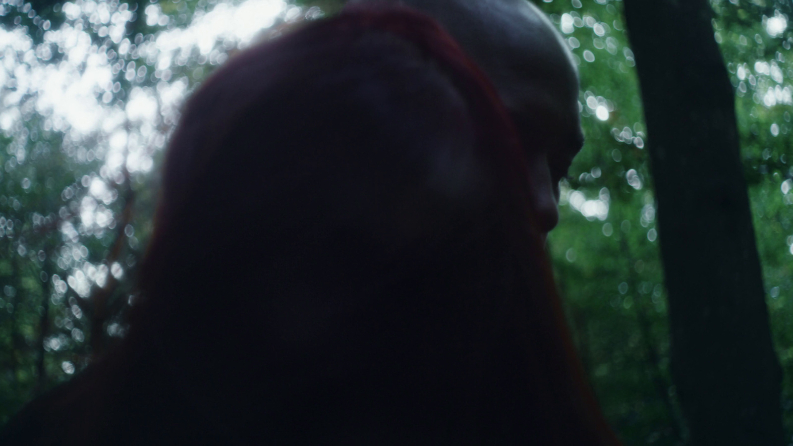 a blurry image of a person in the woods