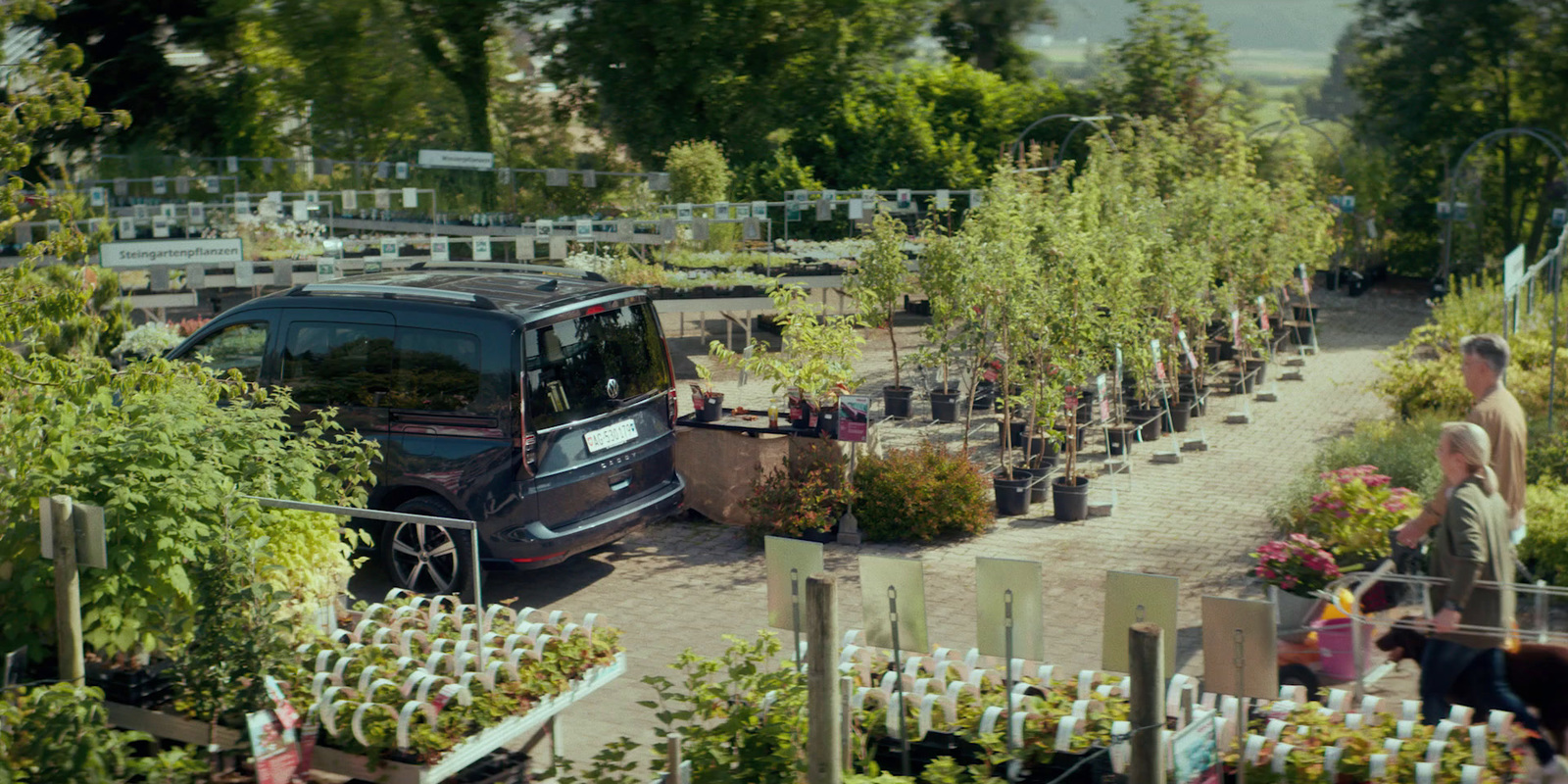 a van parked next to a lot of potted plants