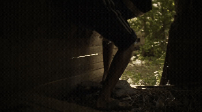 a person standing next to a tree in the dark