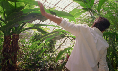 a man in a white shirt and some plants