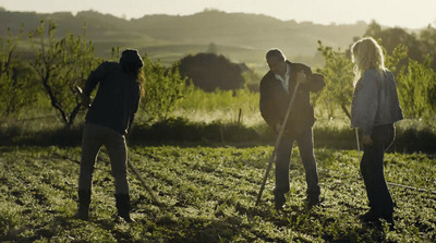 a group of people standing on top of a lush green field