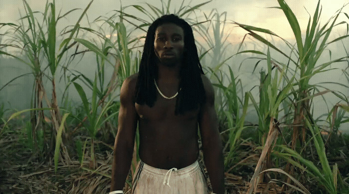 a man with dreadlocks standing in a field