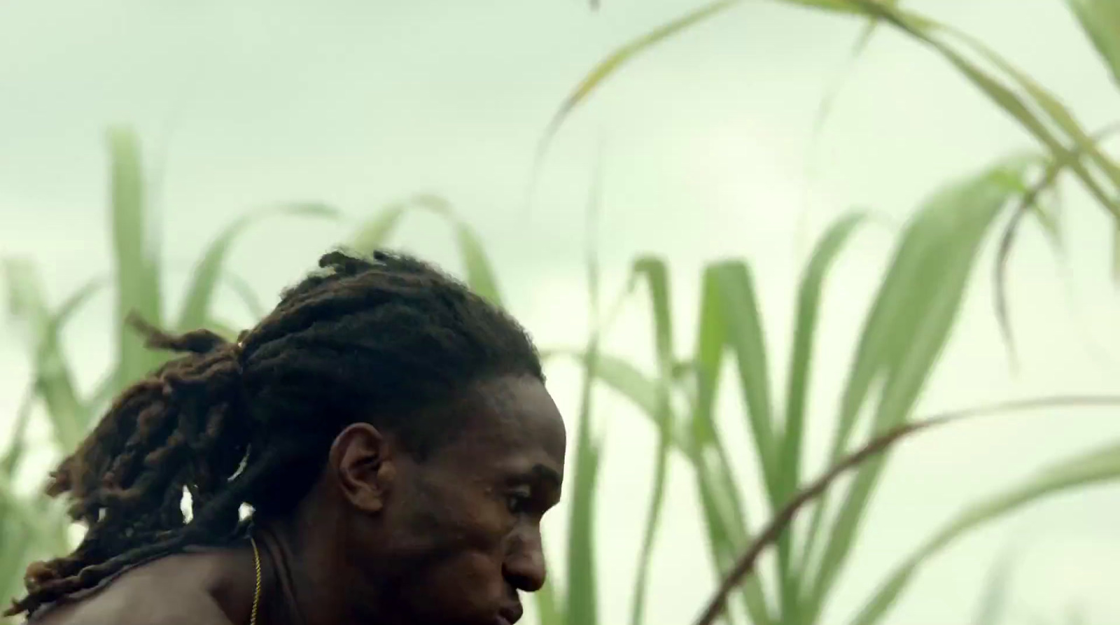 a man with dreadlocks standing in a field