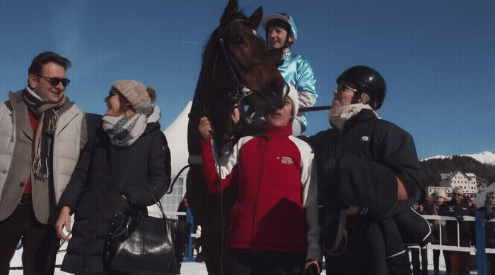 a group of people standing around a horse