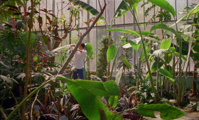 a man standing in a greenhouse holding a stick