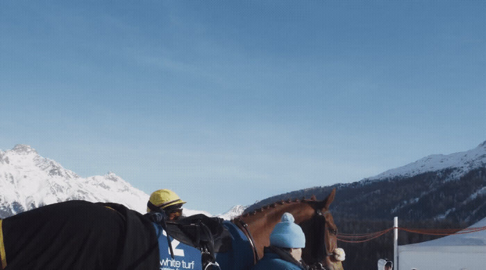 a man riding a horse on top of a snow covered slope