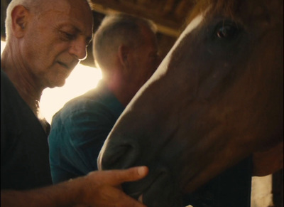 a man standing next to a brown horse