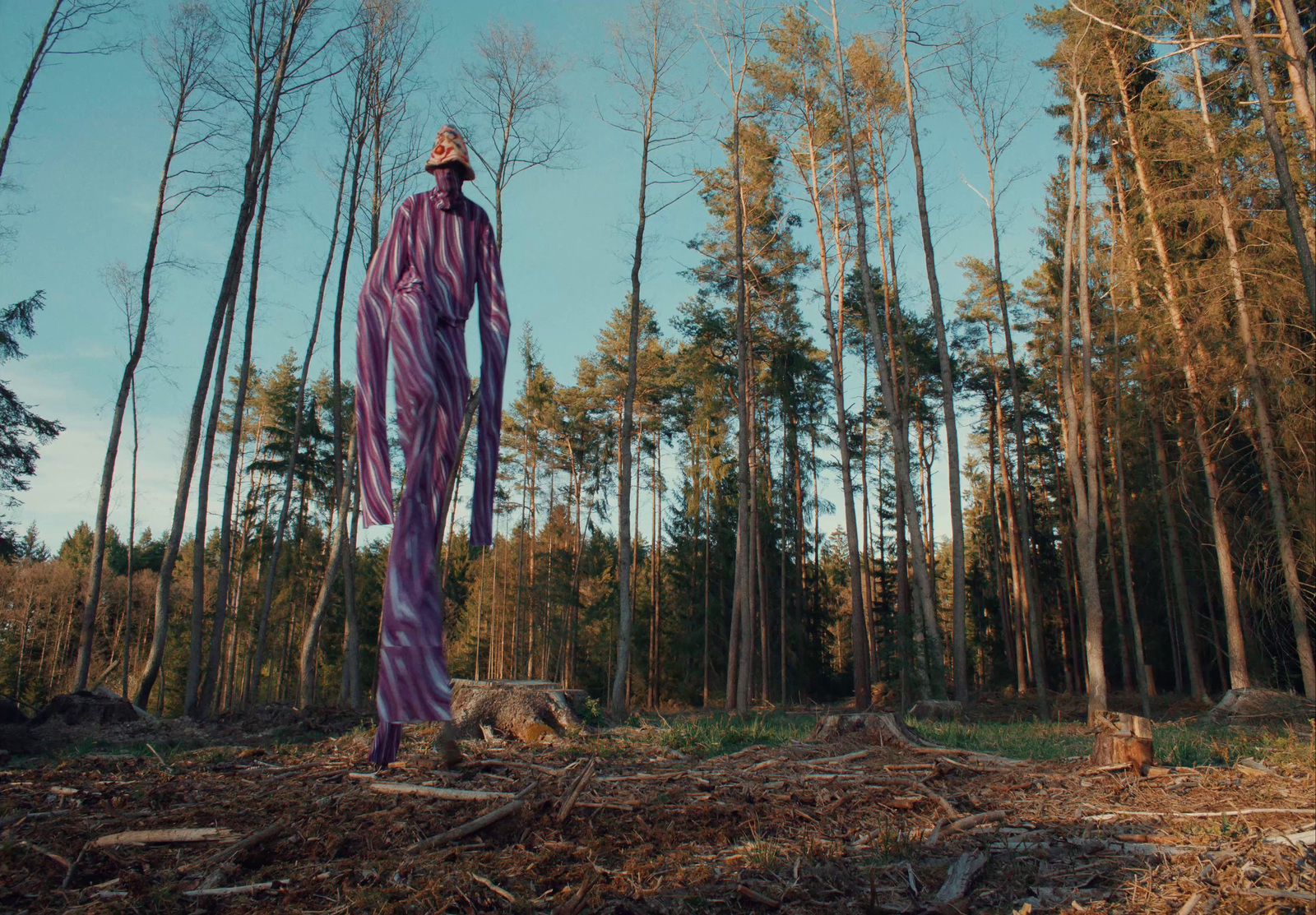 a man standing in a forest holding a frisbee