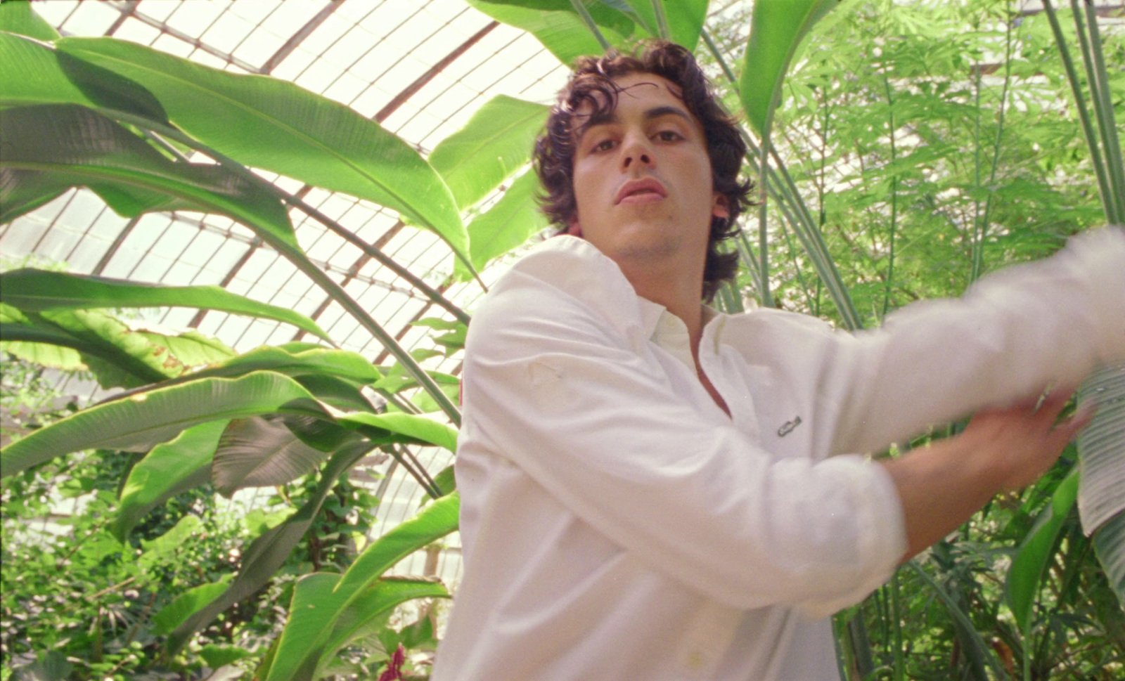 a man in a white shirt is holding a plant