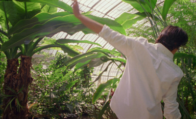 a man in a white shirt standing in a greenhouse