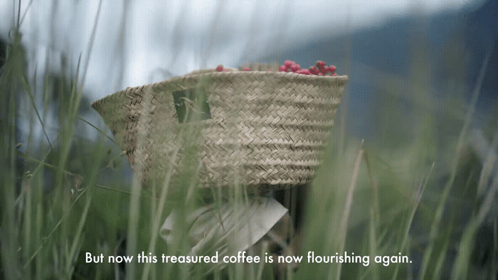 a straw hat with berries in it sitting in tall grass