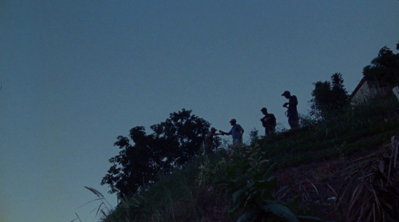 a group of people standing on top of a hill