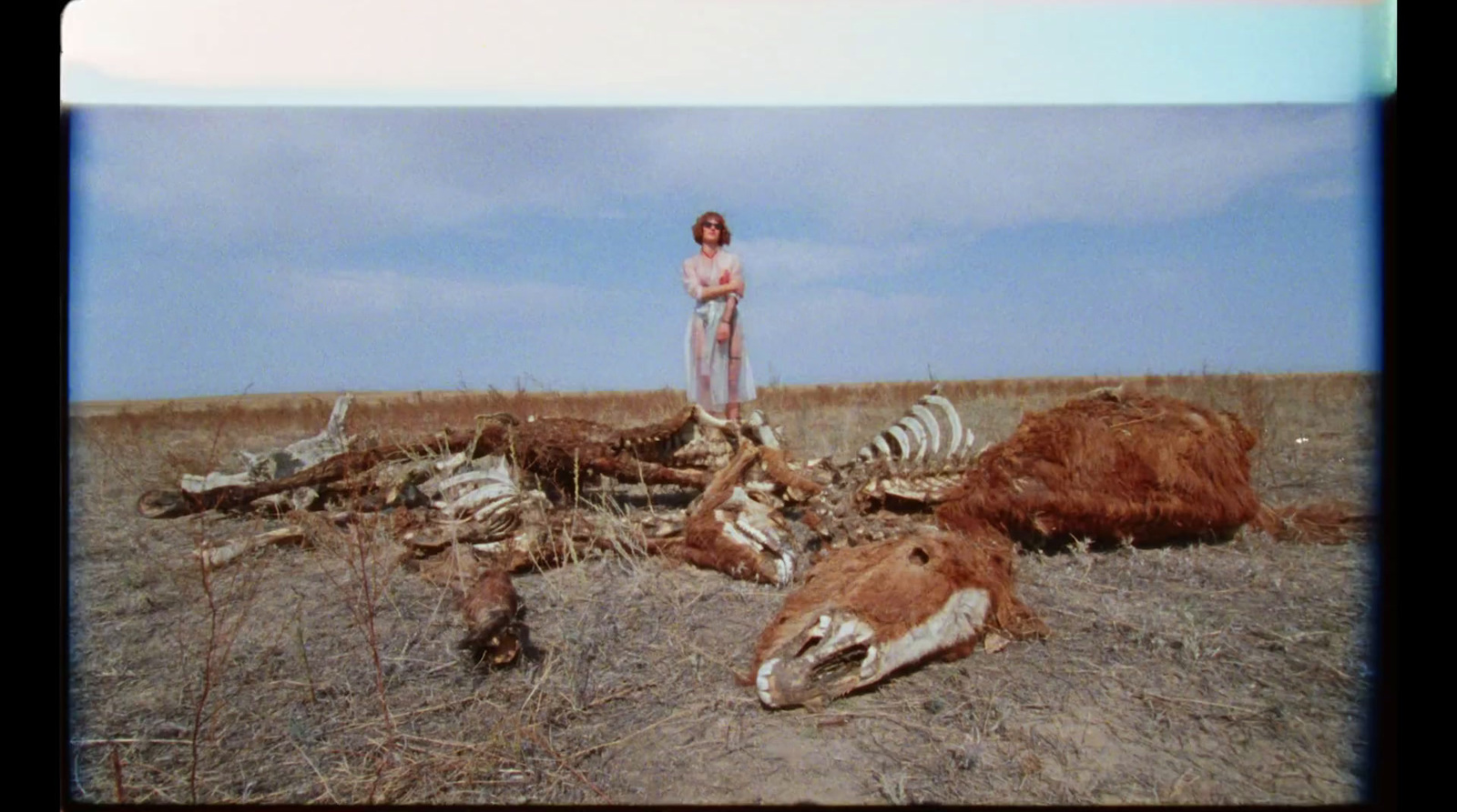 a woman standing in a field next to dead animals