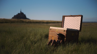 a person sitting in a field with a suitcase