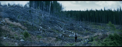 a person standing on a hill near a forest