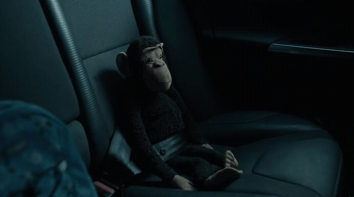 a monkey sitting in the back seat of a car