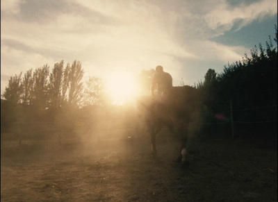 a person riding on the back of a horse