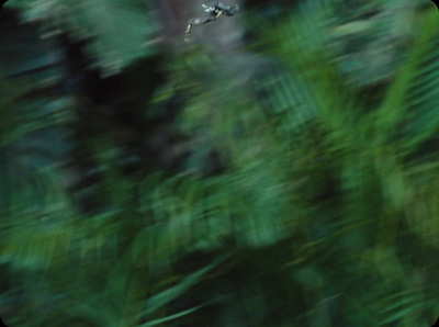 a blurry photo of a bird flying in the air