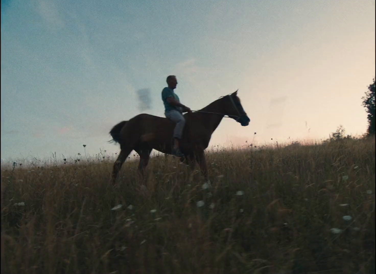 a man riding on the back of a brown horse