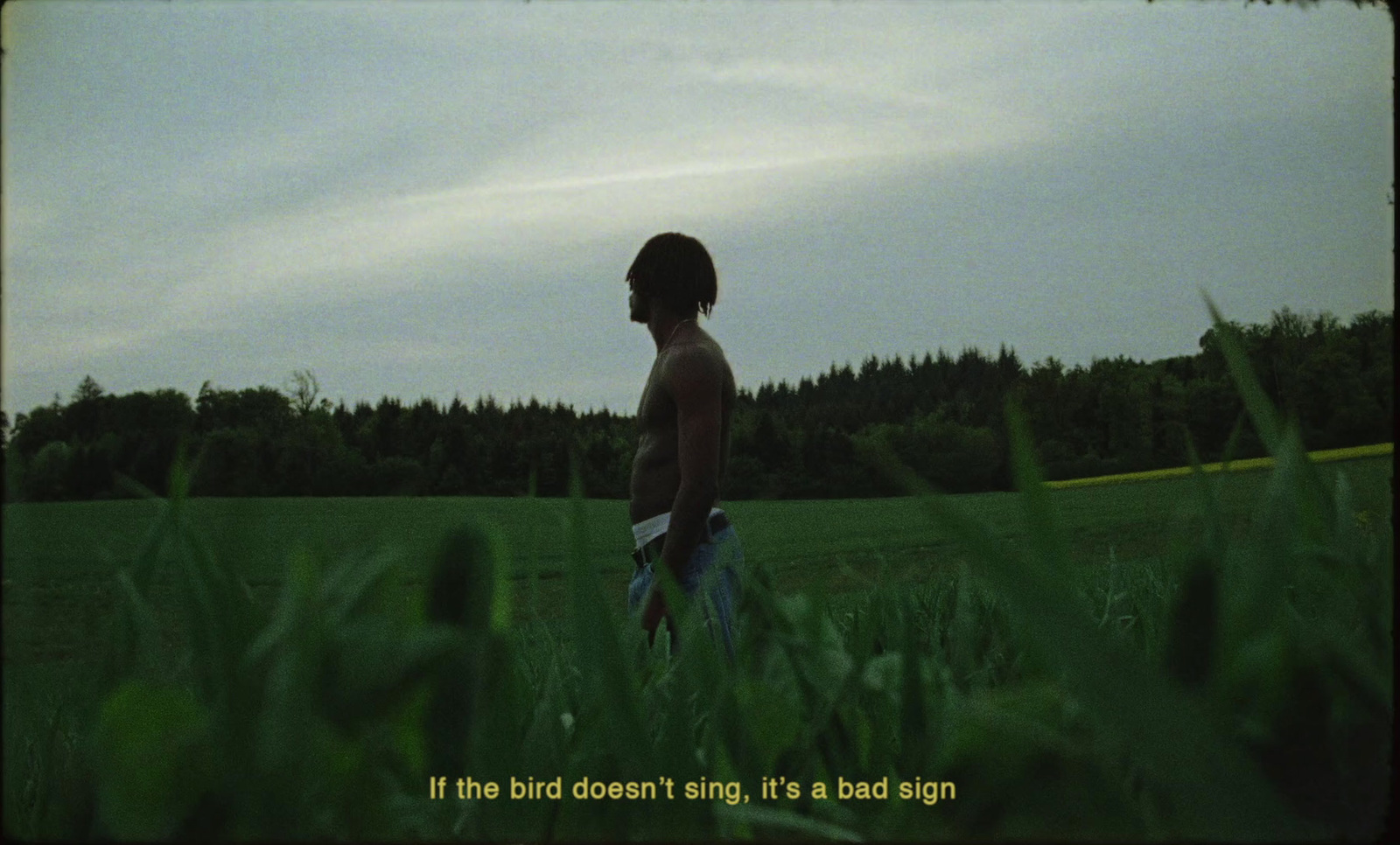 a boy standing in a field with a frisbee in his hand