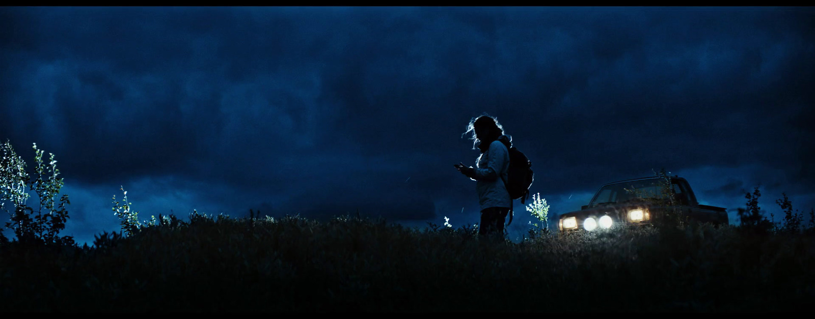 a couple of people standing in a field at night