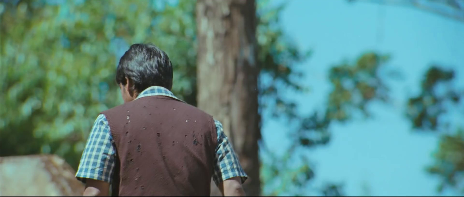 a man walking down a street past a forest