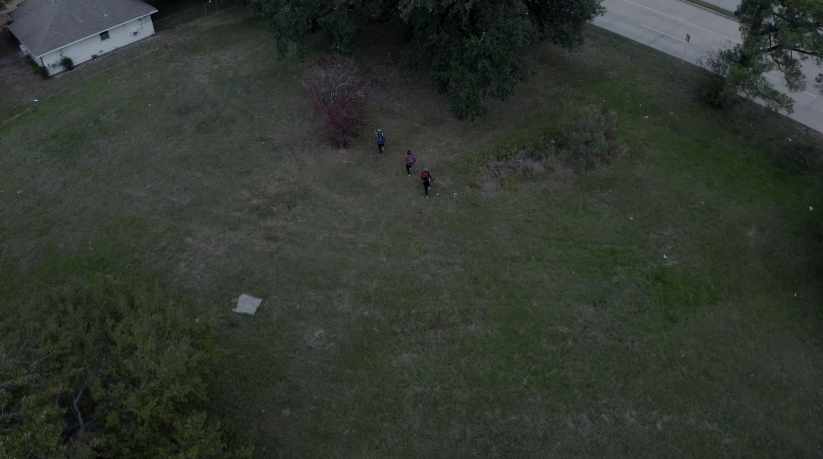 a couple of people walking across a lush green field